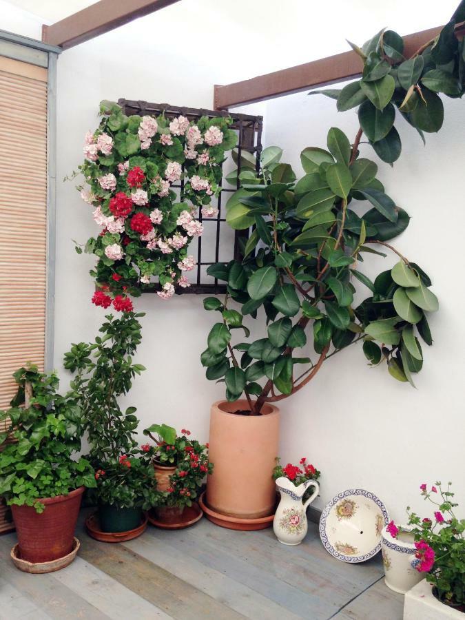 Patio San Lorenzo Córdova Exterior foto